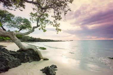 Hawaiian beach amazing. Okyanusu günbatımı veya gündoğumu sörfçü ile dalga. Dalga sıcak günbatımı renkleri ile. Oahu beach, ABD.