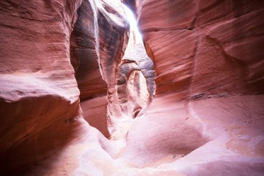 Slot canyon in Grand Staircase Escalante National park, Utah, USA. Unusual colorful sandstone formations in deserts of Utah are popular destination for hikers. Living coral toned. clipart