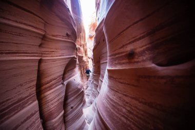Utah, ABD 'deki Grand Staircase Escalante Ulusal Parkı' ndaki Slot Kanyonu. Utah çöllerindeki alışılmadık renkli kumtaşı oluşumları yürüyüşçüler için popülerdir. Canlı mercan tonu.