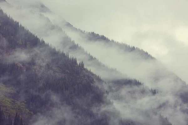 Beautiful Morning Scene Mountains Fog Sunrise — Stock Photo, Image