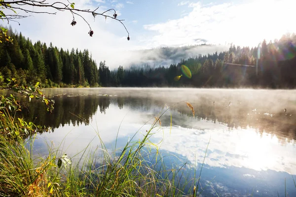 Misty Lago Montanha Início Manhã Serena Montanhas — Fotografia de Stock