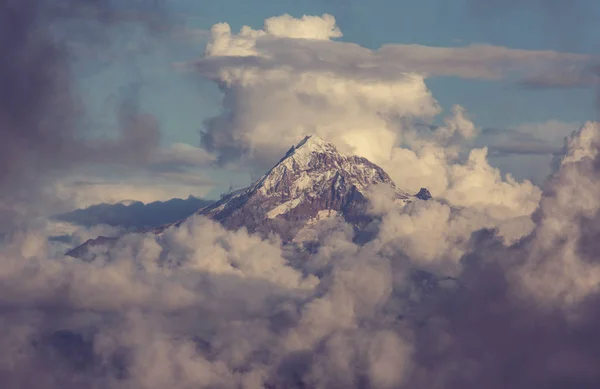 Bergtop Boven Wolken Hood Oregon Usa — Stockfoto