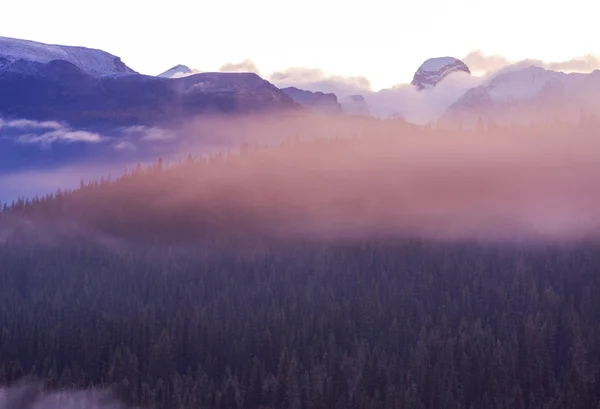 Γραφική Θέα Στο Βουνό Στο Canadian Rockies Κατά Θερινή Περίοδο — Φωτογραφία Αρχείου