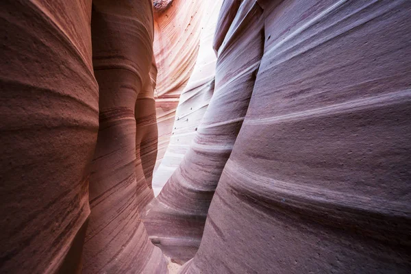 Slot Canyon Grand Staircase Escalante National Park Utah Eua Formações — Fotografia de Stock