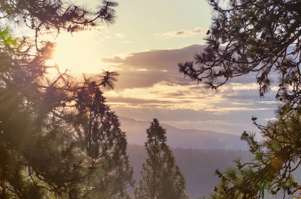 Scena Del Tramonto Sopra Foresta Autunnale — Foto Stock