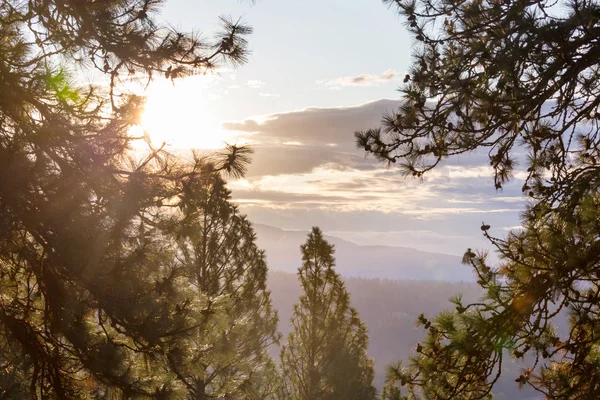 Solnedgångsscenen Ovanför Höstskogen — Stockfoto