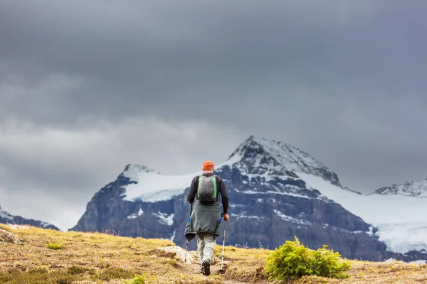 Hiking Man Canadian Mountains Hike Popular Recreation Activity North America — Stock Photo, Image