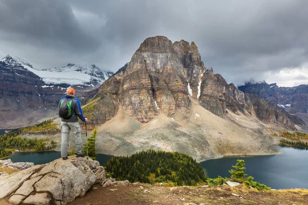 Caminhando Homem Nas Montanhas Canadenses Caminhada Atividade Recreação Popular América — Fotografia de Stock