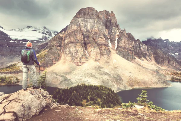 Caminhando Homem Nas Montanhas Canadenses Caminhada Atividade Recreação Popular América — Fotografia de Stock