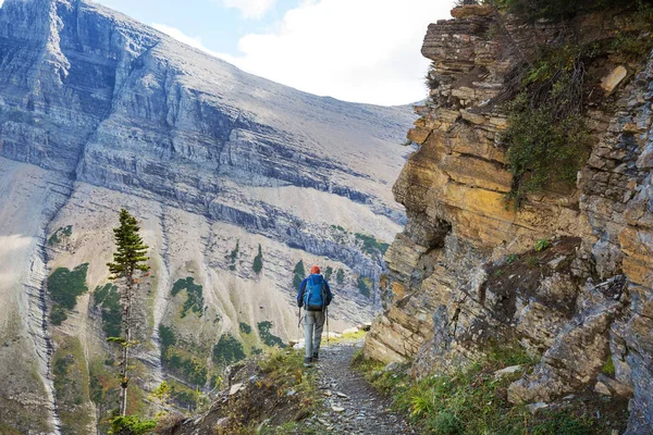 Caminata Parque Nacional Glaciar Montana —  Fotos de Stock