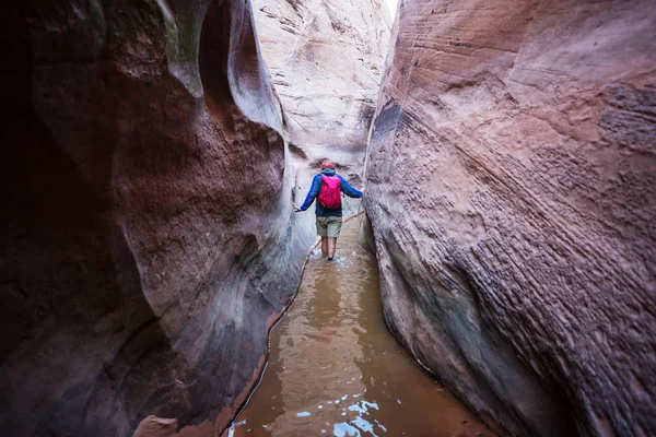 Slot Canyon Grand Staircase Escalante National Park Utah Usa Neobvyklé — Stock fotografie