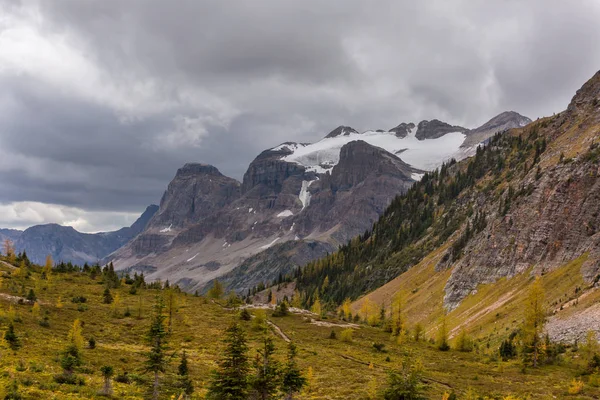 Hermosa Temporada Otoño Las Montañas Canadienses Fondo Caída — Foto de Stock