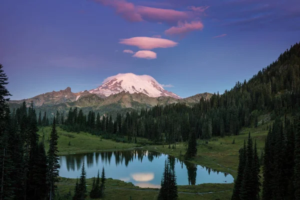 Εθνικό Πάρκο Mount Rainier Ουάσιγκτον — Φωτογραφία Αρχείου