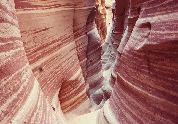 Canyon Sous Dans Grand Staircase Escalante National Park Utah États — Photo