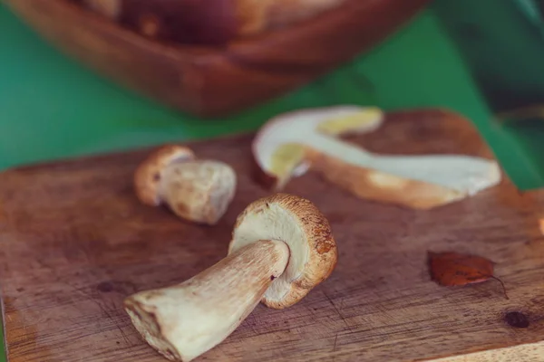 Edible Mushrooms Kitchen Fall Season — Stock Photo, Image