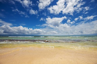 Harika Hawai plajı. Gün batımında okyanusta el salla ya da sörfçüyle gün doğumunda. Sıcak günbatımı renkleriyle el salla.
