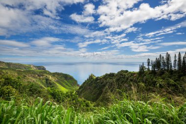Hawaii, Maui adasındaki güzel tropikal manzaralar