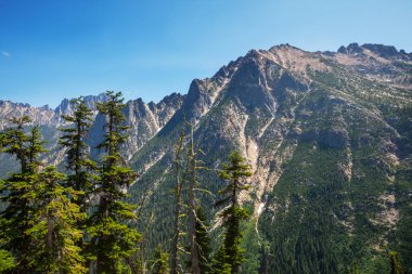 North Cascade Range, Washington / ABD 'de güzel bir dağ zirvesi.
