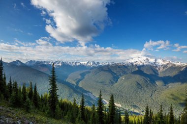 North Cascade Range, Washington / ABD 'de güzel bir dağ zirvesi.