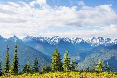 North Cascade Range, Washington / ABD 'de güzel bir dağ zirvesi.