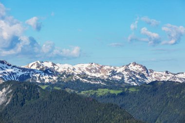 North Cascade Range, Washington / ABD 'de güzel bir dağ zirvesi.