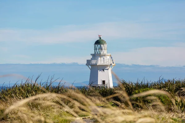 Pasifik Kıyısındaki Deniz Feneri Yeni Zelanda — Stok fotoğraf