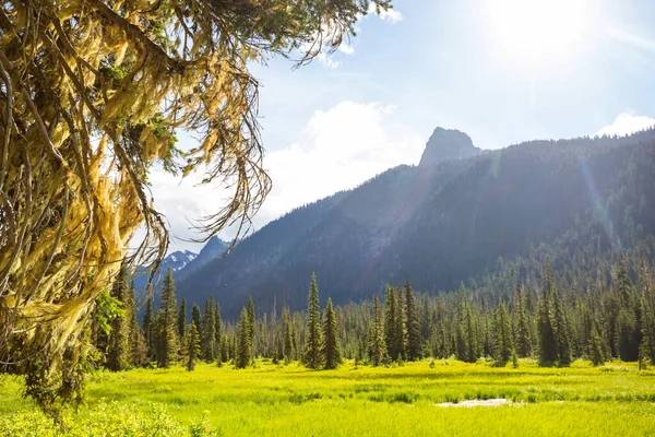 Όμορφη Κορυφή Του Βουνού Στο North Cascade Range Ουάσιγκτον Ηπα — Φωτογραφία Αρχείου