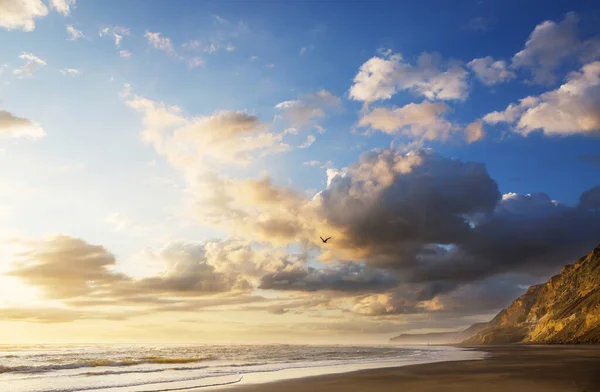 Prachtige Zonsondergang Aan Het Ocean Beach Nieuw Zeeland Inspirerende Natuurlijke — Stockfoto