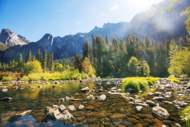 Güzel Yosemite Ulusal Parkı manzaraları, California