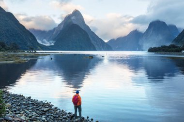 Amazing natural landscapes in Milford Sound, Fiordland National Park, New Zealand clipart