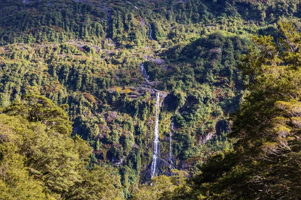 Gyönyörű Vízesés Zöld Esőerdőben Zéland — Stock Fotó