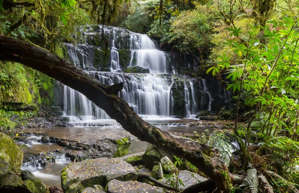 Belle Cascade Dans Forêt Tropicale Verte Nouvelle Zélande — Photo