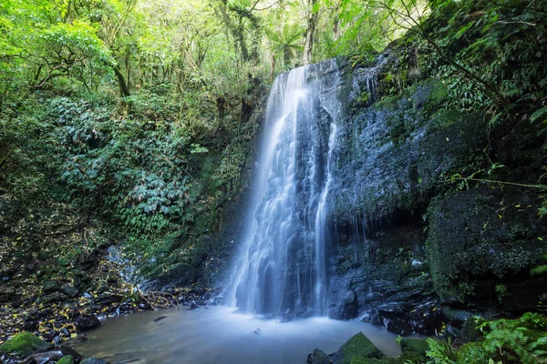 Bella Cascata Nella Foresta Pluviale Verde Nuova Zelanda — Foto Stock