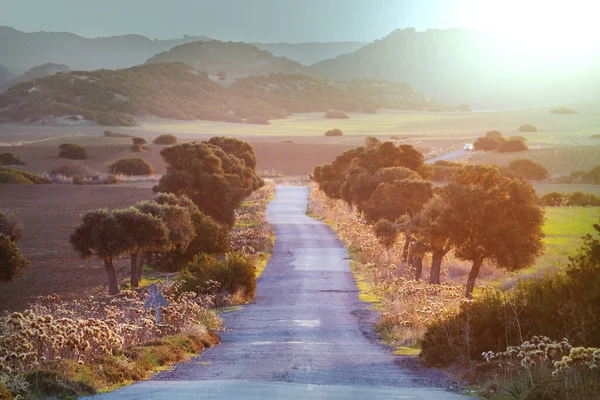 Camino Granja Los Prados — Foto de Stock