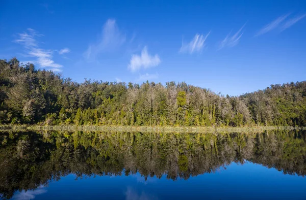 Grüner Sommersee Wald — Stockfoto