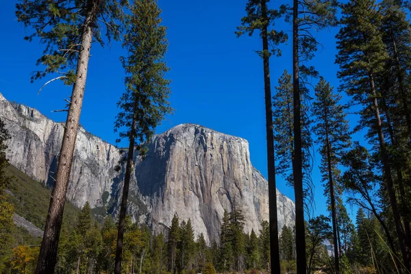Hermosos Paisajes Del Parque Nacional Yosemite California —  Fotos de Stock