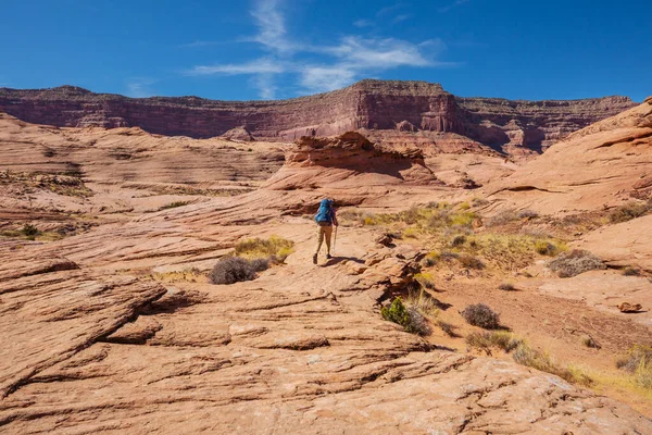 Vandra Utah Bergen Vandring Ovanliga Naturlandskap Fantastiska Former Sandsten Formationer — Stockfoto