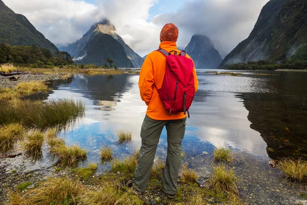 Paisagens Naturais Incríveis Milford Sound Fiordland National Park Nova Zelândia — Fotografia de Stock