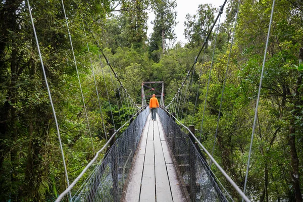 在新西兰徒步旅行 旅行和探险概念 — 图库照片