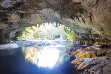 Yeni Zelanda 'da alışılmadık mağara manzaraları