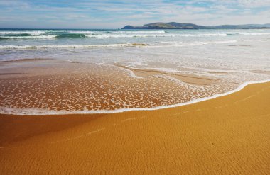 Ocean Beach, Yeni Zelanda 'da güzel bir gün batımı. İlham verici doğal ve seyahat geçmişi