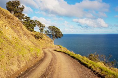 Ocean Beach, Yeni Zelanda 'da güzel bir gün batımı. İlham verici doğal ve seyahat geçmişi