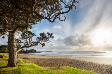 Ocean Beach, Yeni Zelanda 'da güzel bir gün batımı. İlham verici doğal ve seyahat geçmişi