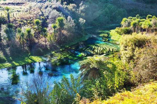Niezwykła Niebieska Wiosna Nowej Zelandii Piękne Krajobrazy Naturalne — Zdjęcie stockowe