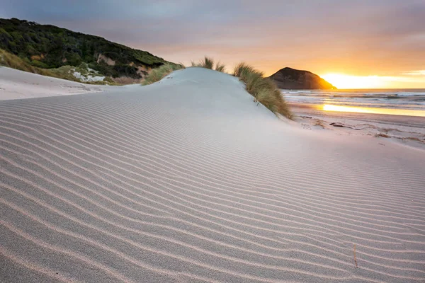 Zandduin Bij Pacifische Oceaan Strand Nieuw Zeeland — Stockfoto