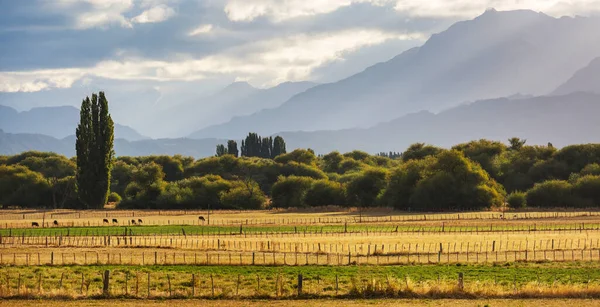 Krajobrazy Wiejskie Górach Argentyny — Zdjęcie stockowe