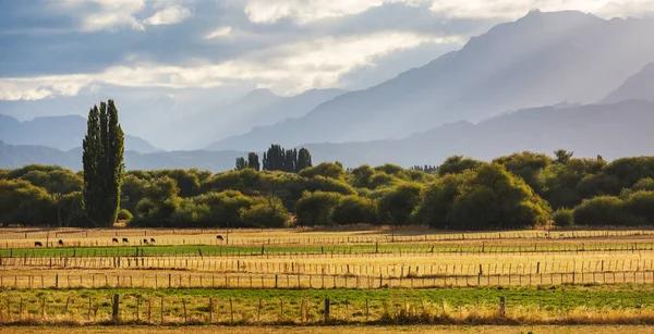 Paisagens Rurais Argentina Montanhas — Fotografia de Stock