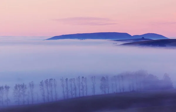 Удивительные Туманные Сельские Пейзажи Утрам Новая Зеландия — стоковое фото