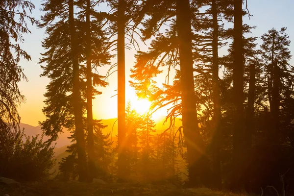 Scenic Zonsondergang Bergen Herfstseizoen — Stockfoto