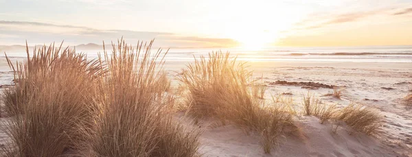 Beautiful Sunset Ocean Beach New Zealand Inspiring Natural Travel Background — Stock Photo, Image